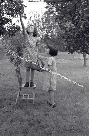 CHILDREN GATHERING APPLES  G S CONVENT